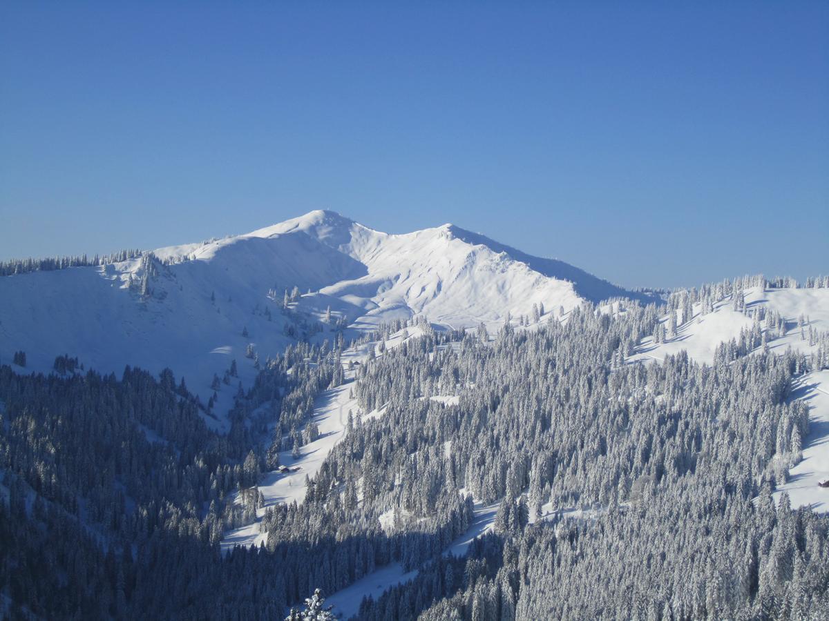 Appartement Auszeit à Obermaiselstein Extérieur photo